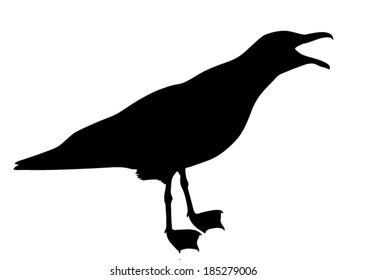 Vector silhouette of the Seagull calling.