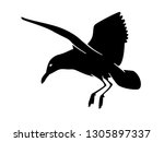 Vector silhouette of seagull landing isolated on white background