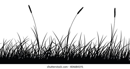 Vector Silhouette Grass On White Background Stock Vector (Royalty Free ...