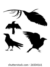 Vector silhouette set of a crow, raven, bird, and feather.