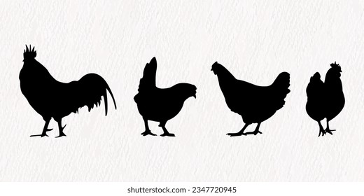 Vector silhouette set of detailed quality chickens - hens, poultry, roosters, cock and baby chicks in farm