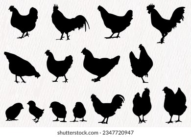 Vector silhouette set of detailed quality chickens - hens, poultry, roosters, cock and baby chicks in farm