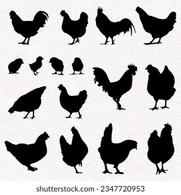 Vector silhouette set of detailed quality chickens - hens, poultry, roosters, cock and baby chicks in farm