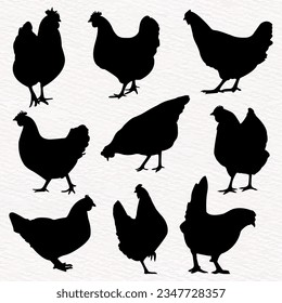 Vector silhouette set of detailed quality chickens - hens, poultry in farm