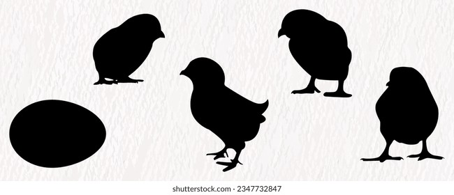 Vector silhouette set of detailed quality chickens - hens and baby chicks in farm