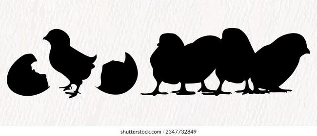 Vector silhouette set of detailed quality chickens - hens and baby chicks in farm