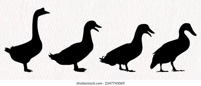 Vector silhouette set of detailed quality duck, goose and baby duck in farm
