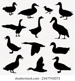 Vector silhouette set of detailed quality duck, goose and baby duck in farm
