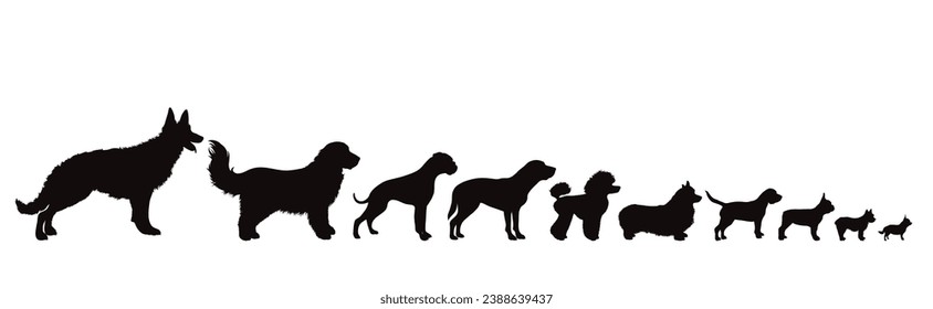 Vector silhouette of set of dogs on white background. Symbol of pet and dog.