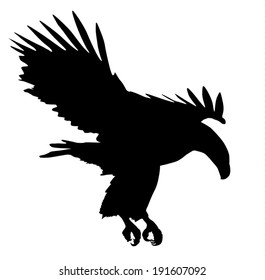 7,901 Clip art eagle Images, Stock Photos & Vectors | Shutterstock