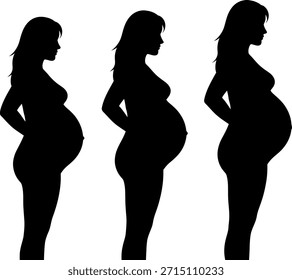 Conjunto de siluetas de Vector que ilustra la progresión del embarazo, mostrando el crecimiento del vientre de una mujer a través de diferentes trimestres sobre un fondo blanco.