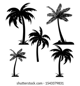 vector silhouette set of palm trees and coconut with black and white - Vector