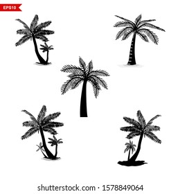 vector silhouette set of palm trees and coconut with black and white - Vector