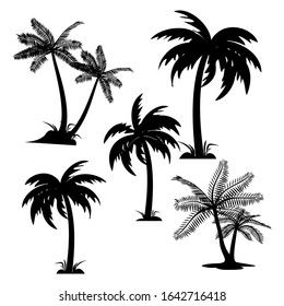 vector silhouette set of palm trees and coconut with black and white - Vector