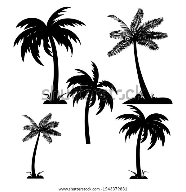 白黒のヤシの木とココナツのベクターシルエット ベクター画像 のベクター画像素材 ロイヤリティフリー