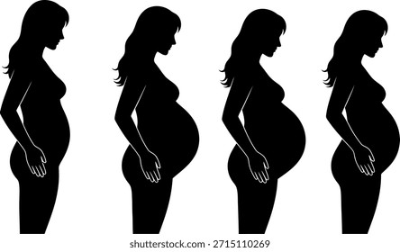 Conjunto de siluetas de Vector que muestra la progresión del cuerpo de una mujer embarazada a través de diferentes etapas, desde el embarazo temprano hasta el término completo.