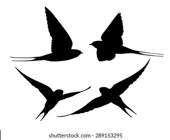 Vector silhouette set of Swallows in flight.