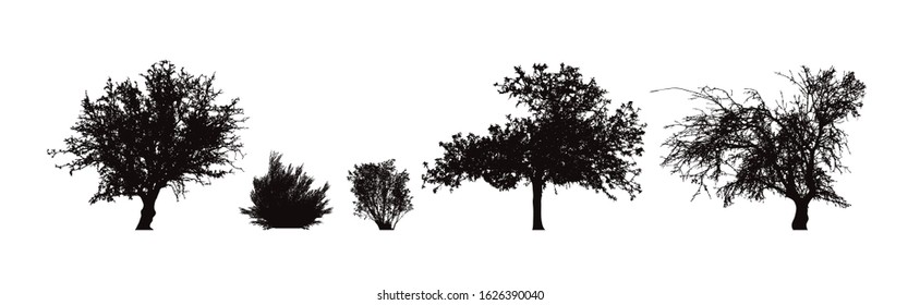 Vector silhouette of set of trees on white background. Symbol of nature and plant.