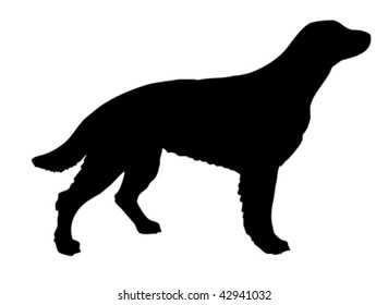 vector silhouette setter on white background