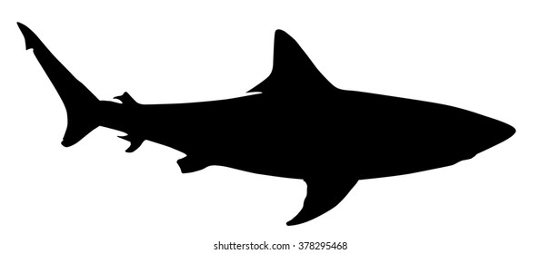 28,581 Shark Silhouette Images, Stock Photos & Vectors | Shutterstock
