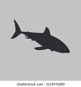 Vector Silhouette Of Shark Isolated On Gray Background, Vector Icon, Eps 10.