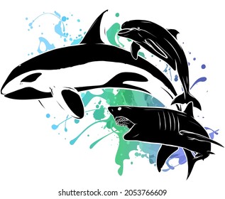 vector silhouette shark killer whale and dolphin
