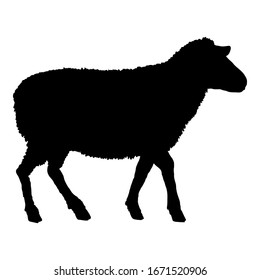 Vector Silhouette Sheep Illustration. Side View