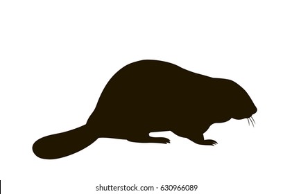 Vector Silhouette Of A Sitting Beaver