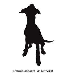 Vector silhouette of sitting dog on white background. Symbol of pet and happy life.