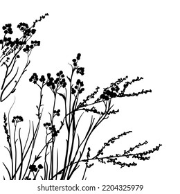 vector silhouette sketch of dry grass and flowers on a white background