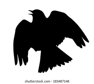 Vector silhouette of the Skylark singing in the courtship flight. 