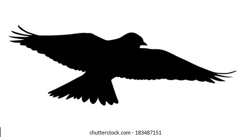 Vector silhouette of the Skylark singing in the courtship flight. 