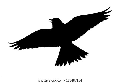 Vector silhouette of the Skylark singing in the courtship flight. 