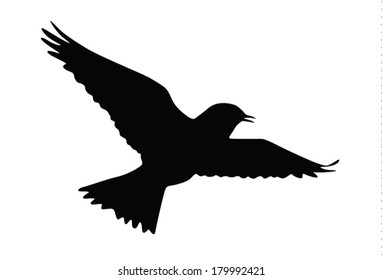 Vector silhouette of the Skylark singing in the flight.