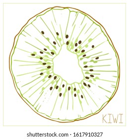 Vector silhouette slice kiwi  Isolated drawing fruit white background  Juicy healthy food design element  Vector stock illustration