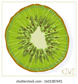 Vector silhouette slice kiwi  Isolated drawing fruit white background  Juicy healthy food design element  Vector stock illustration