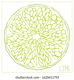 Vector silhouette of a slice of lime. Isolated drawing fruit on a white background. Juicy healthy food design element. Vector stock illustration