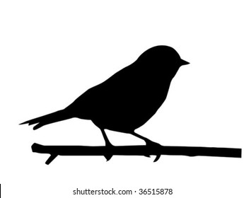 Vector Silhouette Of The Small Bird On Branch