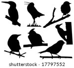 vector silhouette of the small birds on branch tree