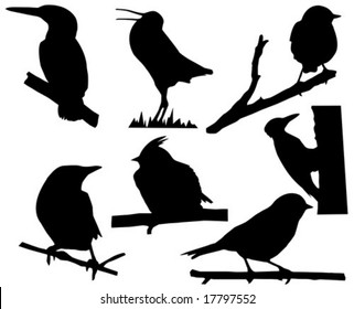 vector silhouette of the small birds on branch tree