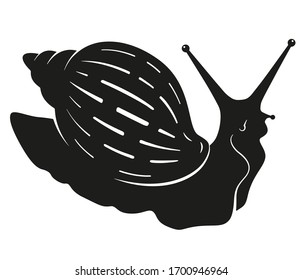 Vector silhouette of the snail Achatina, black on white background, isolated, realistic, with details. For use as a design element, for infographics, cosmetics.