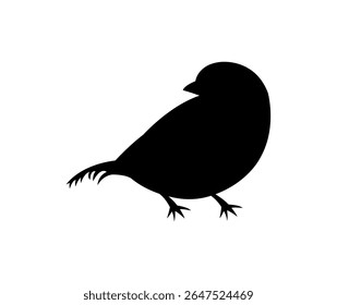 vector silhouette of a sparrow bird isolated on white background 