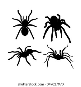 Vector Silhouette Spider