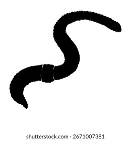 Silueta de Vector de una araña, ilustración en blanco y negro sobre un fondo blanco.