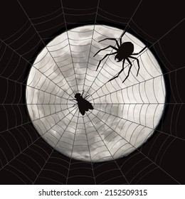 Vector silhouette of spider with cobweb on moon background. Symbol of night and wildlife.