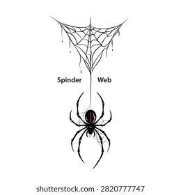 A vector silhouette of spider, An illustration of black spider, A hand drawn vector art of insect