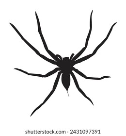 Vector silhouette of spider isolated on white background.

