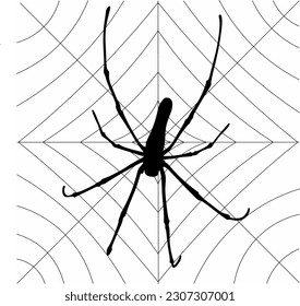 vector silhouette of a spider in the middle of a web.