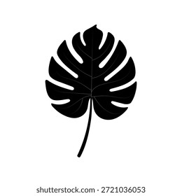 Silhueta vetorial de uma folha de Philodendron (Monstera).