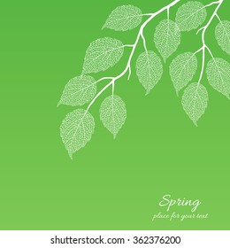 Vector silhouette spring tree  for your design on  the green background. Vintage hand drawn illustration with space for text